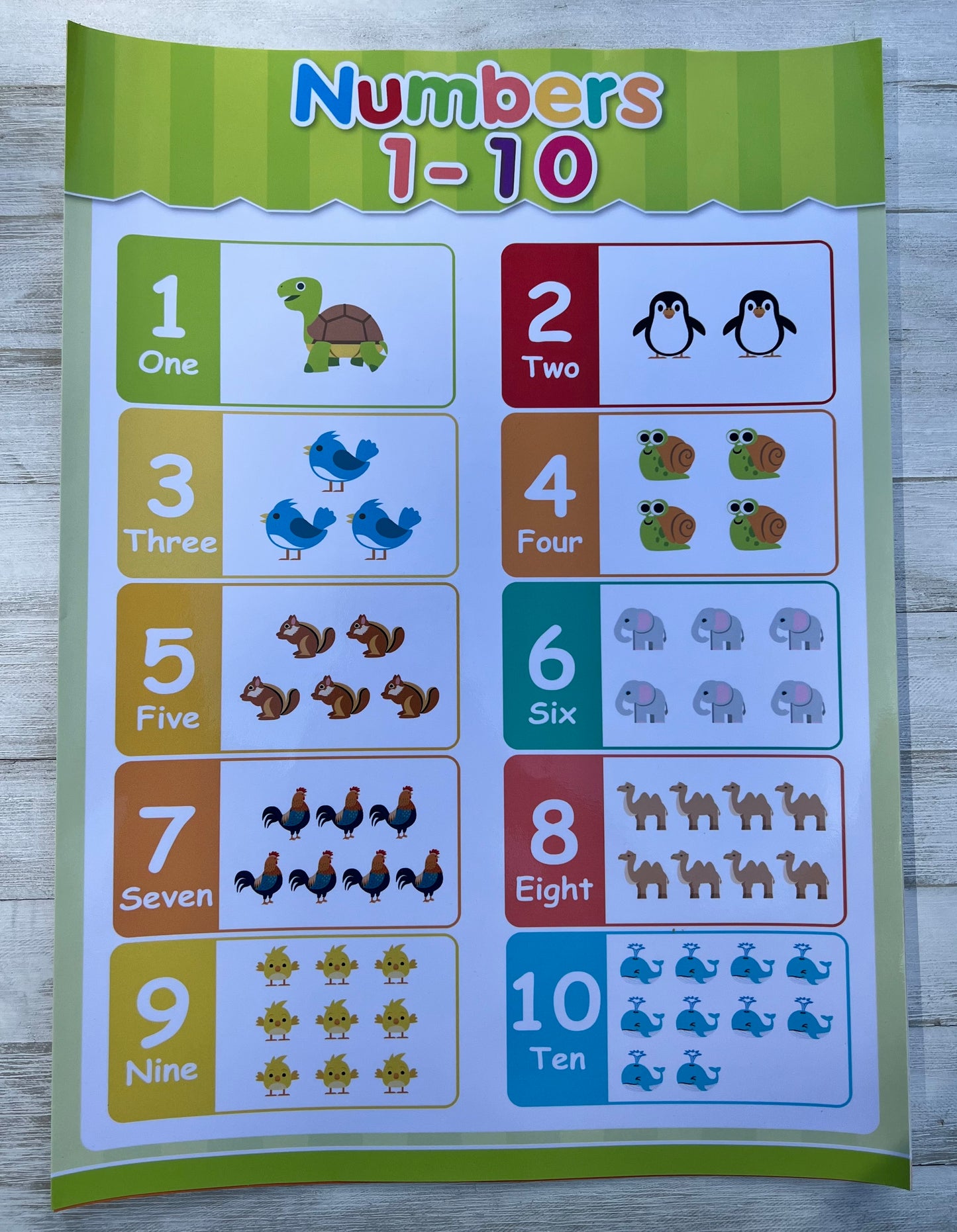 Learning Poster Collection-5 pack